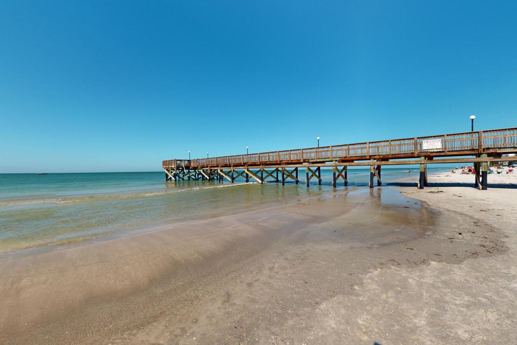 Beach Palms Clearwater Beach Rom bilde
